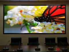 室内绿巨人污APP规格选择时考虑以下三点？